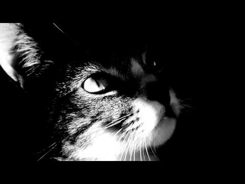 Fly Project - La Musica (ELECTRO REMIX)