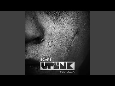Scars (feat. Liljaa)