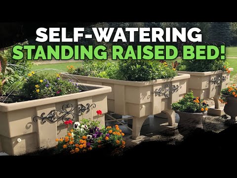 9 Beginner Raised Bed Garden Mistakes to Avoid