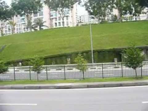 SMRT: Mercedes-Benz O405 (TIB460M on 75)