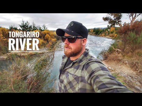 Fly Fishing World Class Trout River!