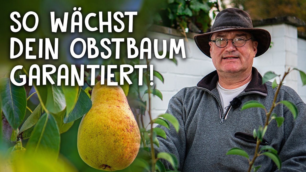 Obst anbauen Video 2