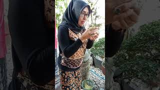 Download lagu proof of chili twisting #entertainment #knowledge #chili #powerful #funny mp3 Download lagu proof of chili twisting #entertainment #knowledge #chili #powerful #funny mp3