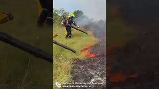 Leaf blower fighting a grass fire.  #wildfire. #firefighter