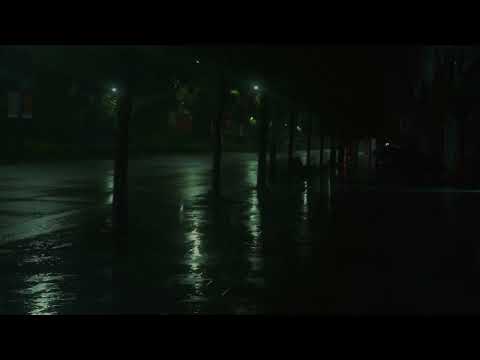 🎧 Soothing Gentle Spring Rain in the Old Park at Night  / 10 Hours for Relaxation and Sleep