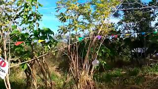 nkarating sa bundok sariwa Ang hangin