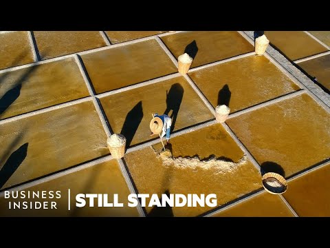 Meet One Of The Last Salt Makers Keeping A 2,000-Year Old Mexican Tradition Alive | Still Standing