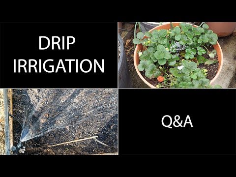 Drip Irrigation Questions Answered Q A For Drip Irrigation Systems