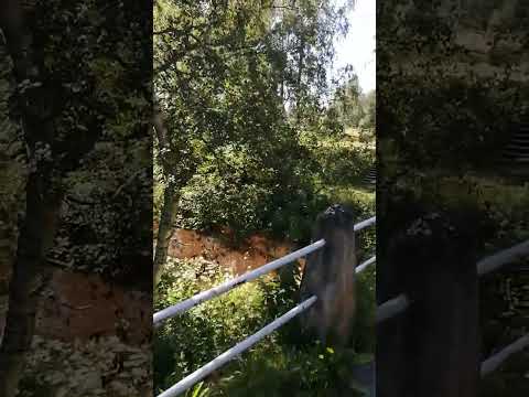 Pattijoen silta, Pattijoki, Raahe 27.7.2023