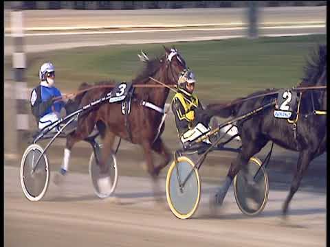 Trotto 11/01/2019 - 4ª corsa