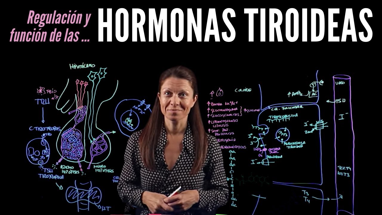 Fisiología endocrina III: Hormonas tiroideas