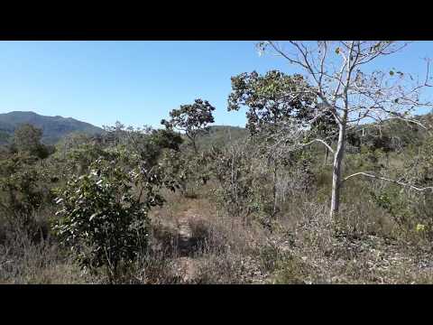 Terreno Pirenópolis-GO