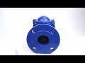 Overview Of The Elephant VCB1414N F DN65 Rou16 Cast Iron Ball Check Valve