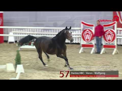 57  Dantos HBC - Veron - Wolfgang