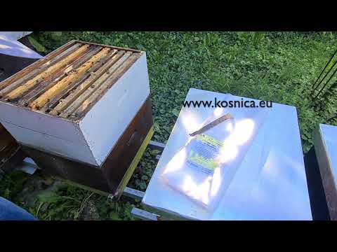 Kako održati toplinu pčelinje zajednice  zimi?🐝 pčelarstvo 2025