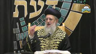 השיעור השבועי של מרן הראשון לציון הגאון רבי דוד יוסף שליט"א - מוצ"ש פרשת שלח בשעה 22:00 (מוסדות יחווה דעת) - התמונה מוצגת ישירות מתוך אתר האינטרנט יוטיוב. זכויות היוצרים בתמונה שייכות ליוצרה. קישור קרדיט למקור התוכן נמצא בתוך דף הסרטון