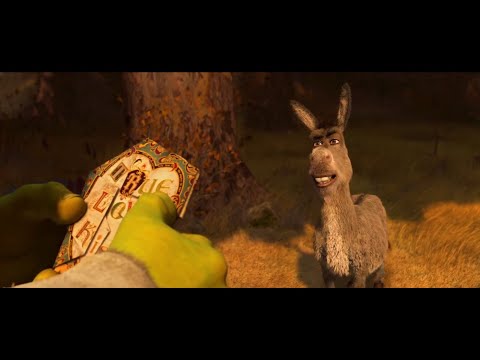Shrek Forever After - Donkey and Shrek