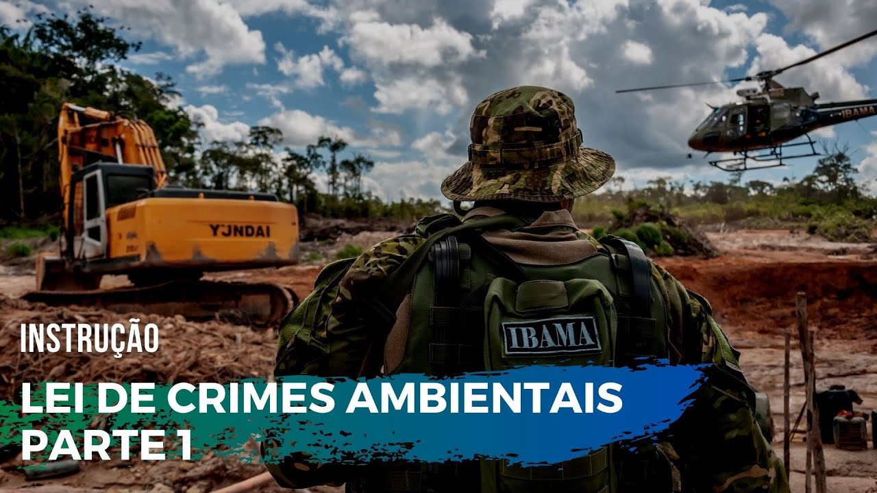 LEI DE CRIMES AMBIENTAIS: Fundamentos, infrações, penas...