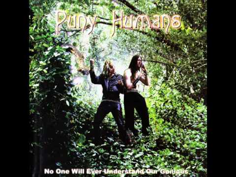 Puny Humans - Sweep-Picking The Flugelhorns