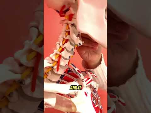 The Hyoid bone is crazy