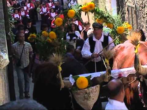 TEMPIO  PAUSANIA (OT)  PROCESSIONE  DI  SANT'ISIDORO -CLASSE  1961 -05.09.2010.