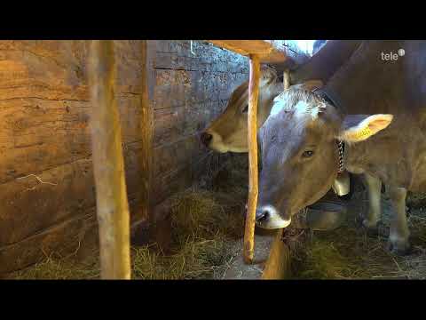 Reportagemagazin +41 23.07.21