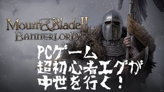 Mount and Blade II Bannerlord   攻城戦　野戦