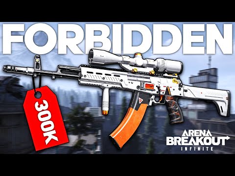 This BUDGET AK-12 DESTROYS Huge Men in Arena Breakout Infinite