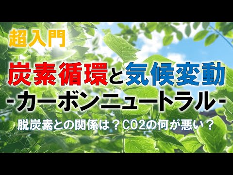 トラノ・ヌオーヴォ