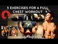 5 CHEST EXERCISES FOR FULL CHEST WORKOUT Epic Results No Flat Bench No Problem Fitness Is Life