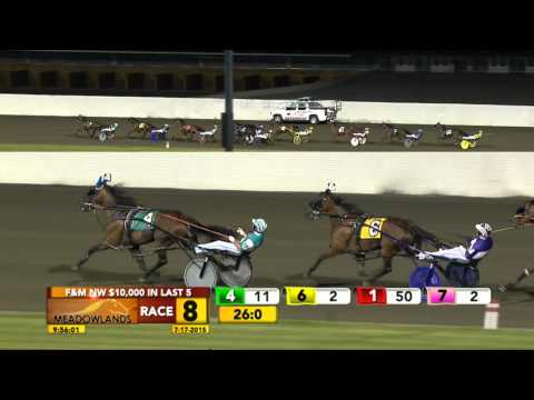 Meadowlands July 17, 2015 - Race 8 - That Woman Hanover