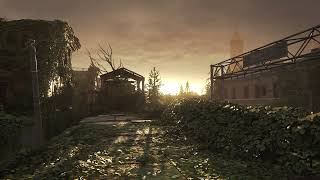 An overgrown city at sunrise in Focusverse