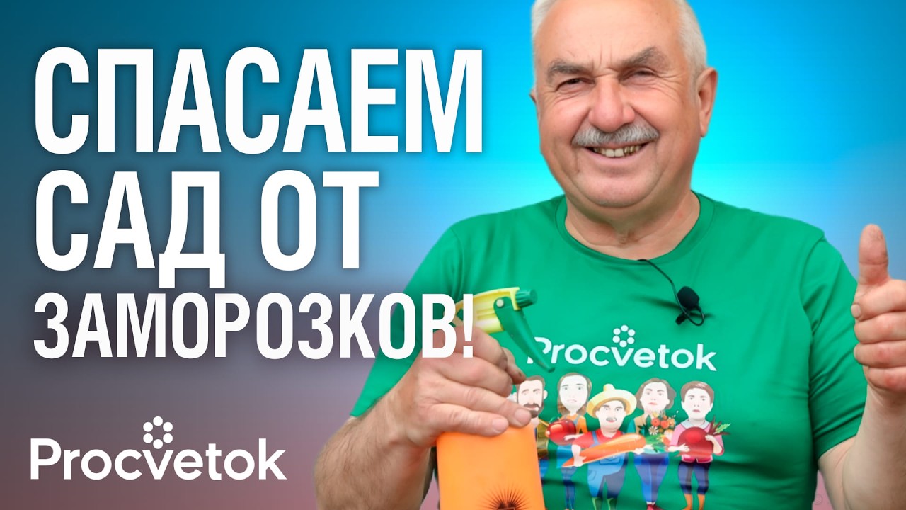 ВОЗВРАТНЫЕ ЗАМОРОЗКИ НЕ СТРАШНЫ! Просто обработайте так любые растения!