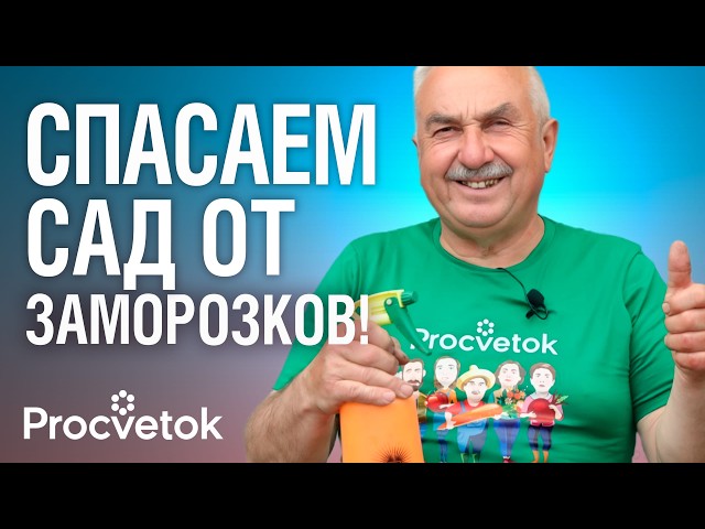 ВОЗВРАТНЫЕ ЗАМОРОЗКИ НЕ СТРАШНЫ! Просто обработайте так любые растения!