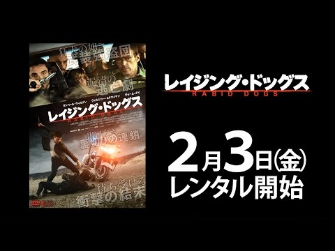 武装強盗団がハマり込んだ泥沼の逃亡劇…『レイジング・ドッグス』DVD予告