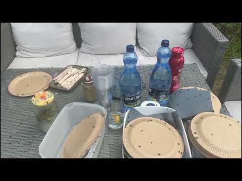 Plaga much we wsi niedaleko Wrocławia