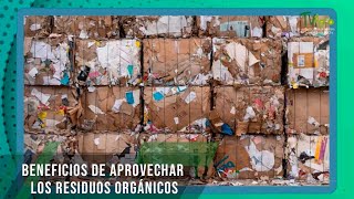 Beneficios de aprovechar los residuos orgánicos - TvAgro por Juan Gonzalo Angel Restrepo