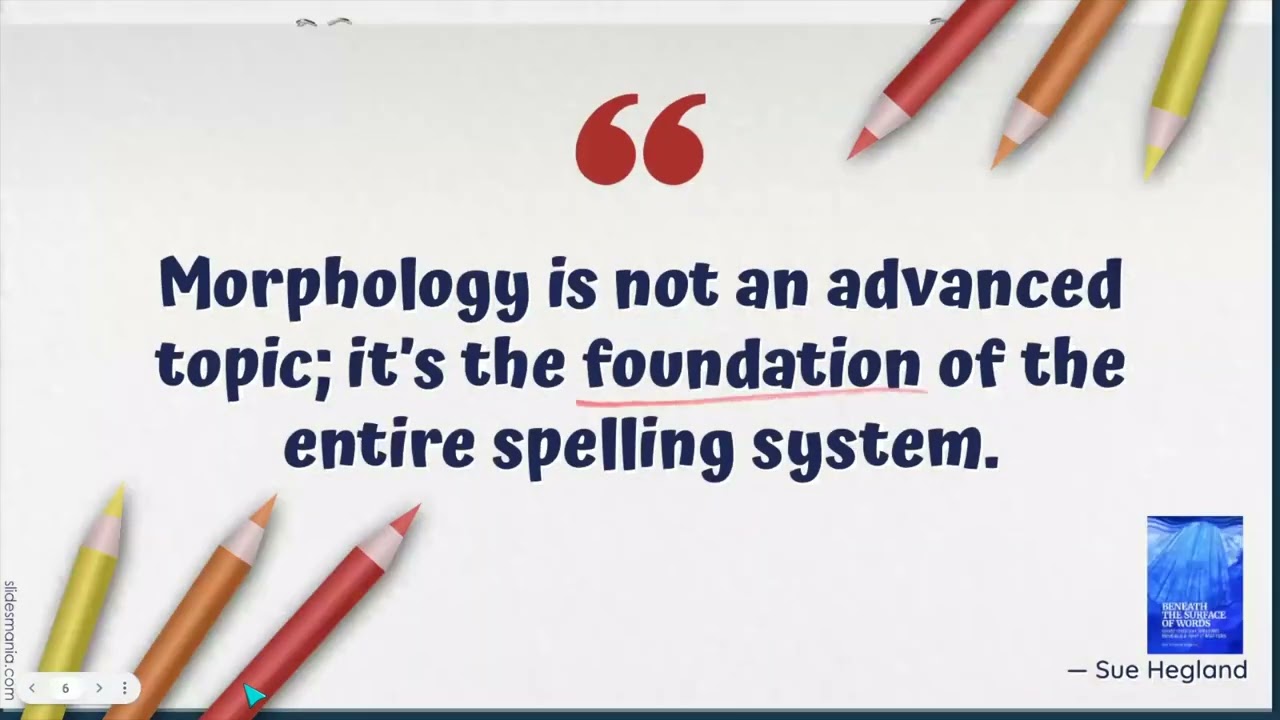 Quick Morphology Overview