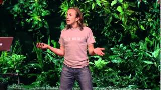 Jeremy Gilley: One day of peace