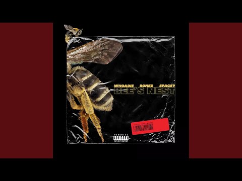 Bee's Nest (feat. Bankroll Bonez & Andrew Spacey)