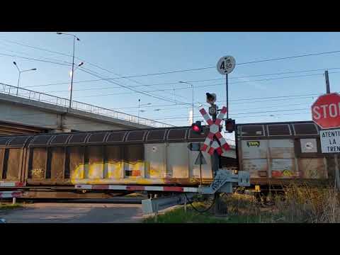 Tren Turbo Rail Service transport marfa #turbo #train #tren #shorts #transport #bridge