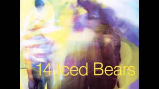 14 iced bears   dust remains