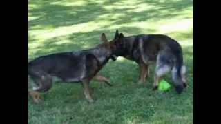 Troinga Titan 6.24.07