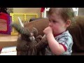 Loving His Elephant Puppet From Grammy