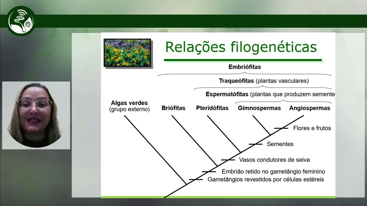 Aula 1  Fundamentos da Morfologia Vegetal mp4