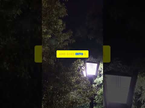 How Night Vision Goggles Actually Work  ||  QuickBytes  ||  #shorts