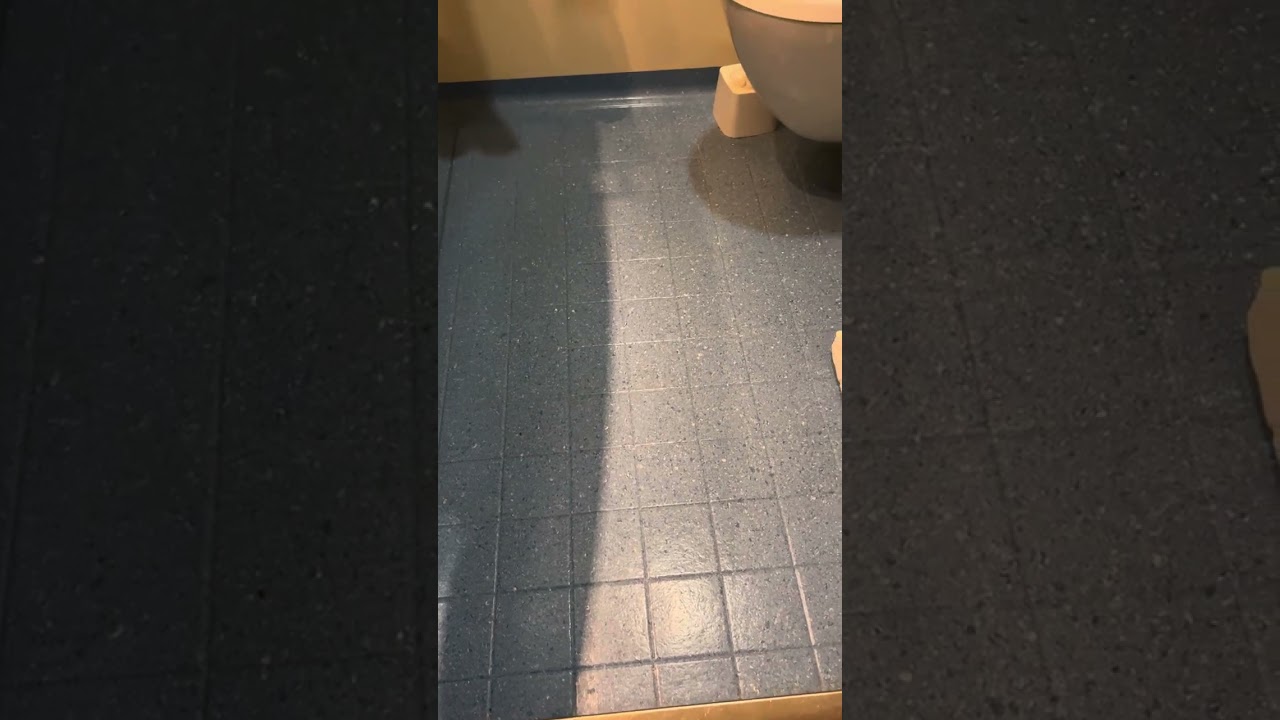 Carnival Vista - Cabin 2238 - Video 1
