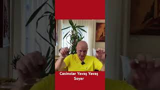 Casinolar neden her zaman kazanır? #kumarhane #matematik #iş