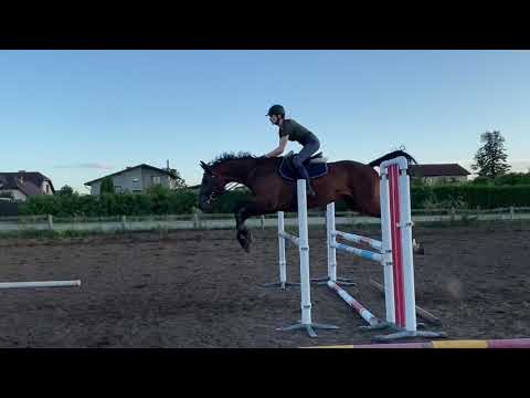 Cardo De Rio (2014) 29/07/2020