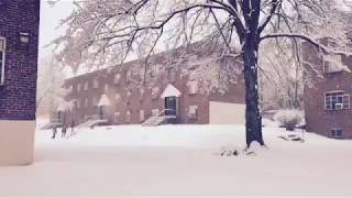 Veskil - Singing with the Sun (another videography)